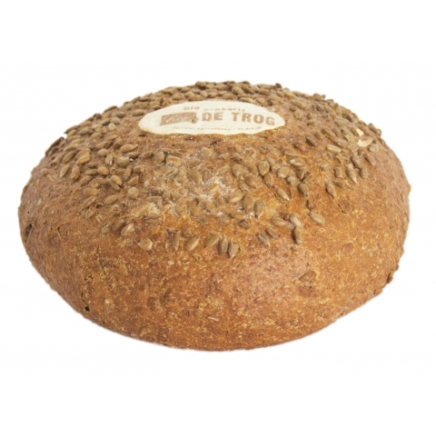 Zonnepitbrood gist