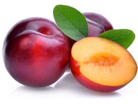 Pruim Rood