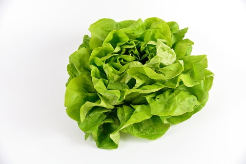 Kropsla