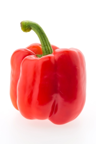 Paprika rood