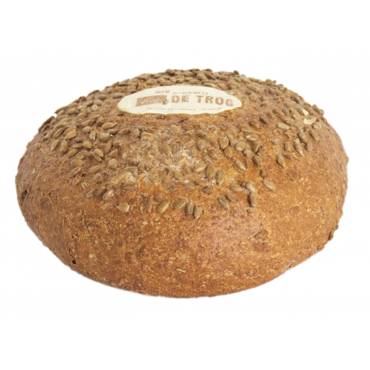 Zonnepitbrood gist