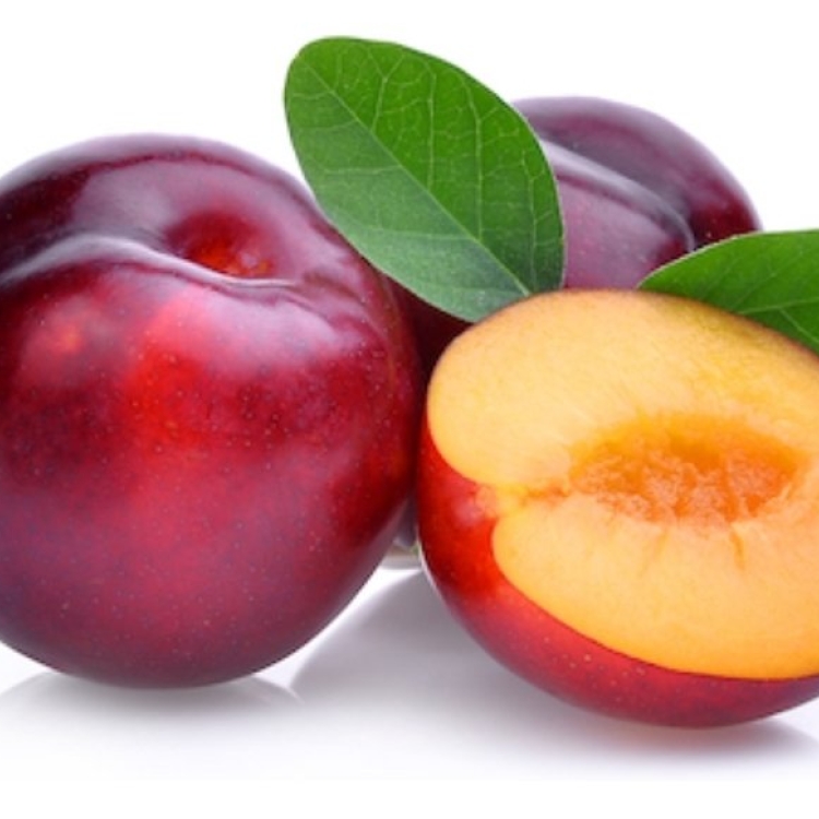 Pruim Rood