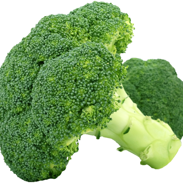 Broccoli