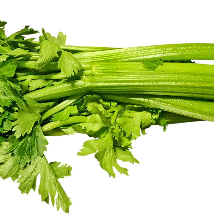 Groene selder
