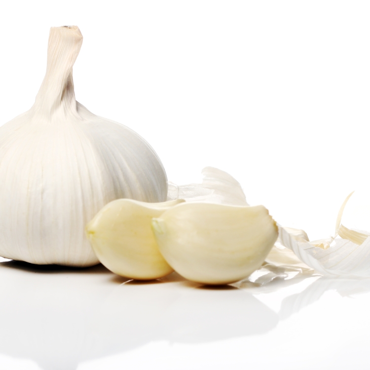 Knoflook