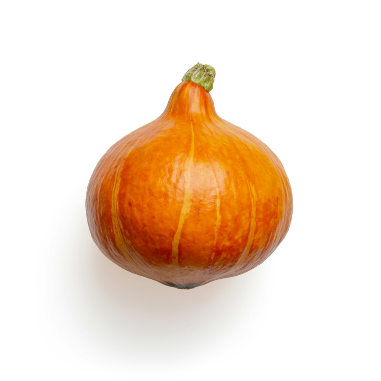 Pompoen Hokkaido oranje