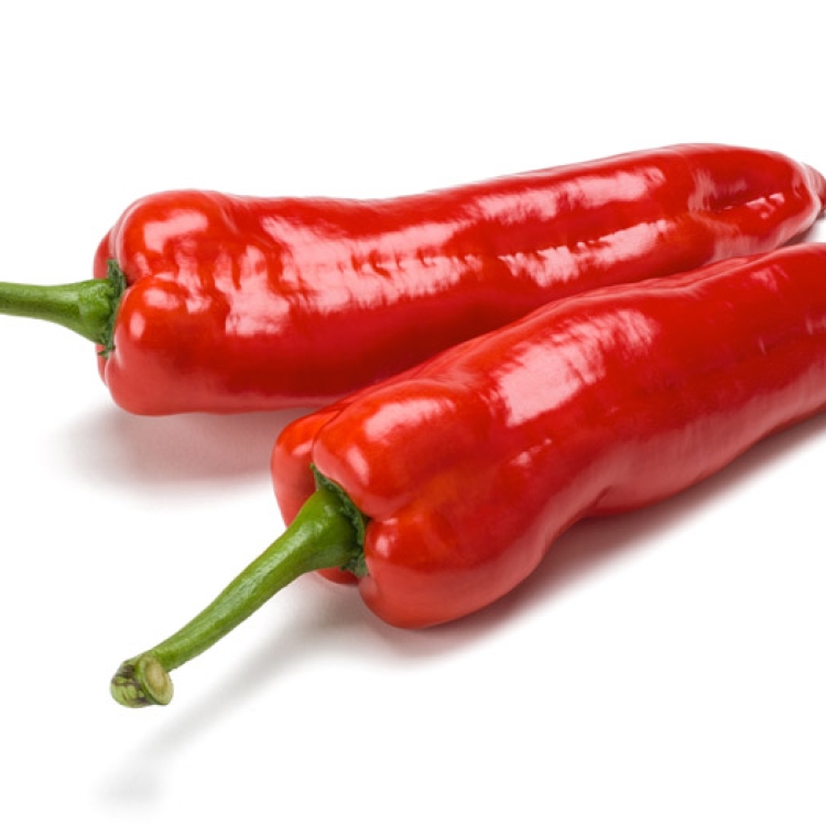 Puntpaprika rood