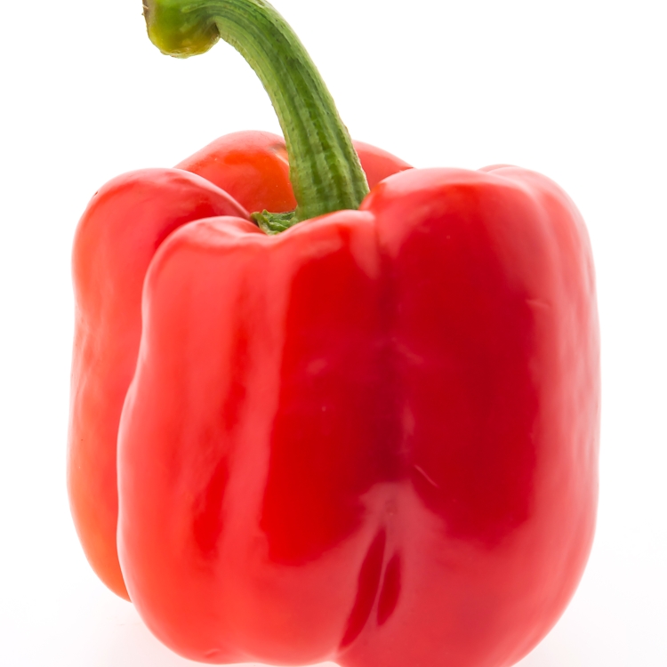 Paprika rood